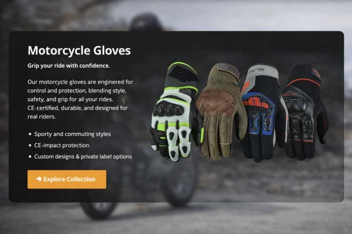 Motorcycle Gloves Motorcycle gloves category